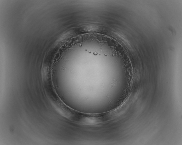 X0000112490171200908171255