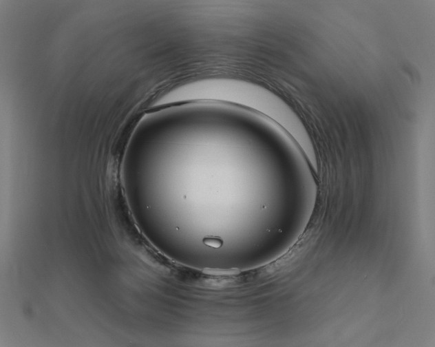 X0000112490172200908171255