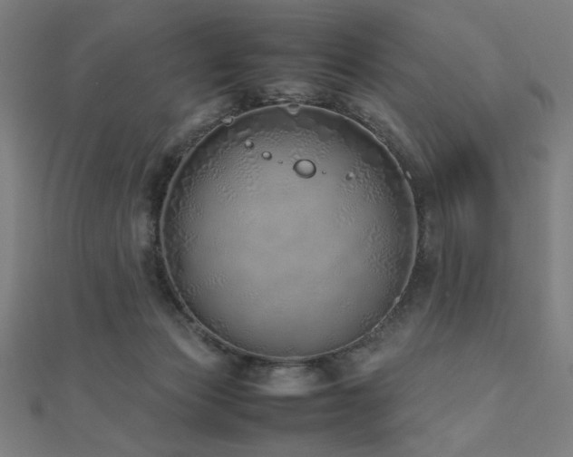 X0000112490173200908171255