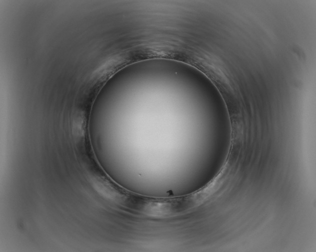 X0000112490174200908171255