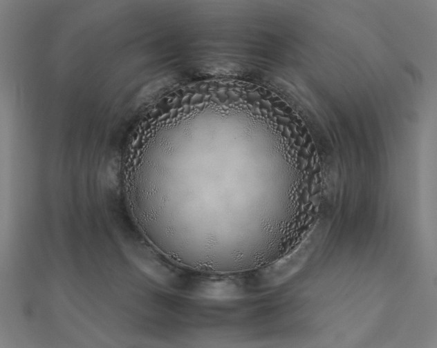 X0000112490175200908171255