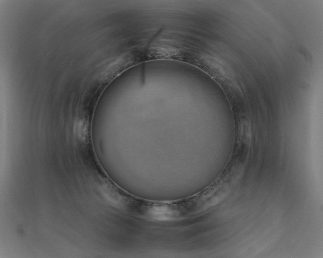 X0000112490177200908171255