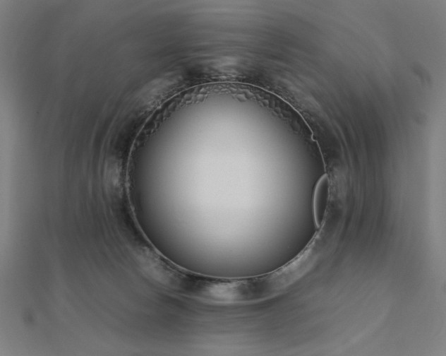 X0000112490178200908171255