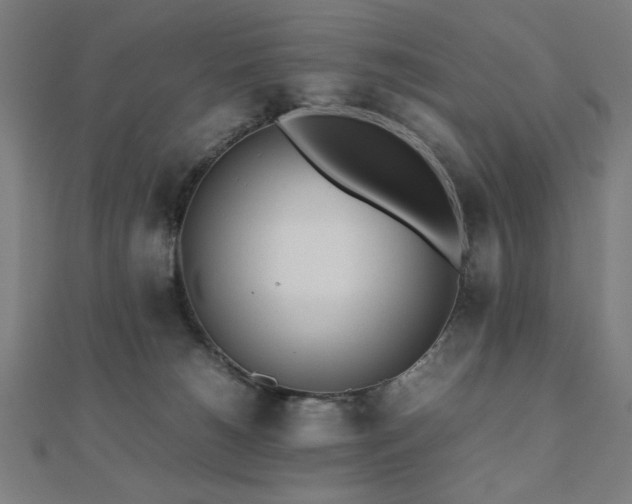 X0000112490180200908171255