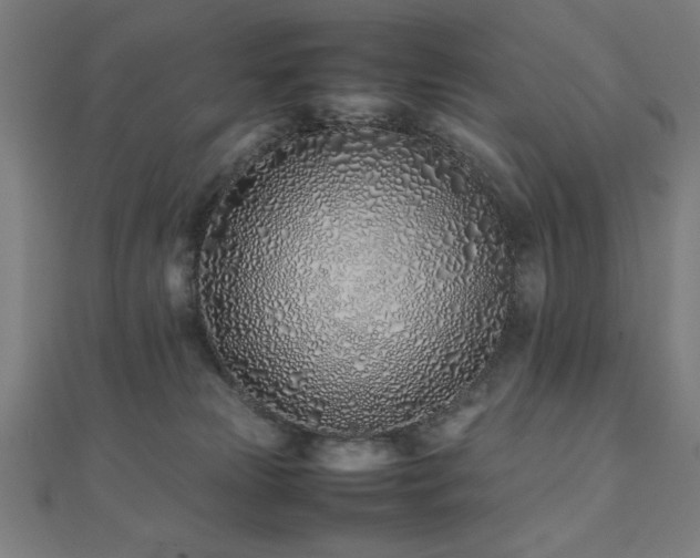 X0000112490181200908171255