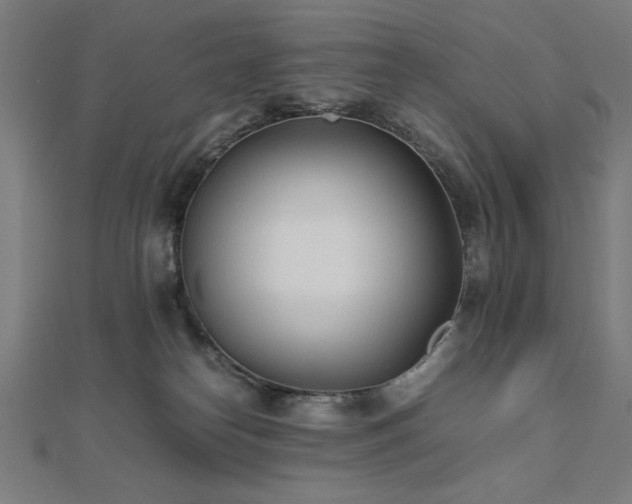 X0000112490182200908171255