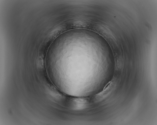 X0000112490183200908171255