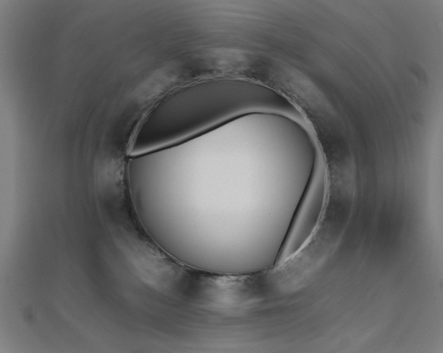X0000112490184200908171255