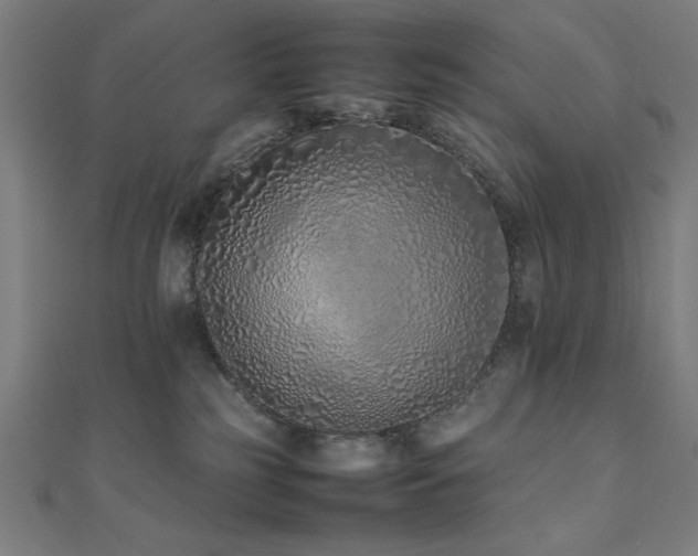 X0000112490185200908171255