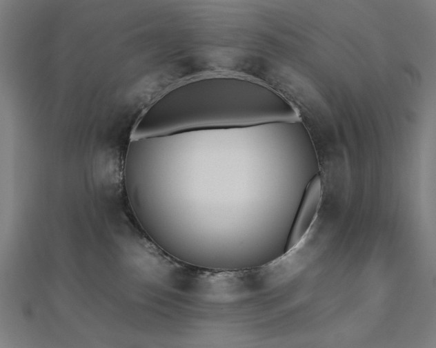 X0000112490186200908171255