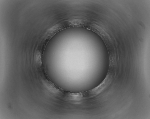 X0000112490187200908171255