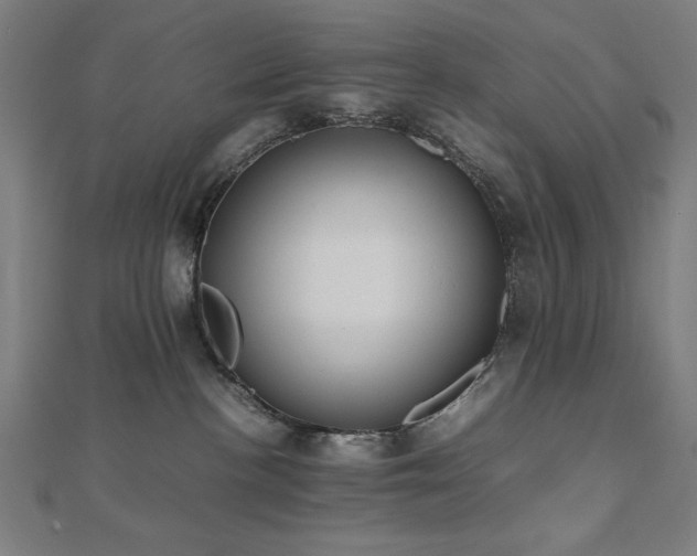 X0000112490188200908171255