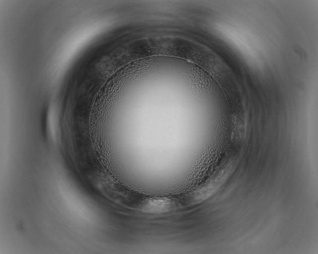 X0000112490189200908171255