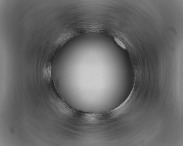 X0000112490190200908171255