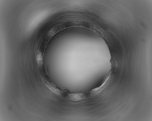 X0000112490191200908171255