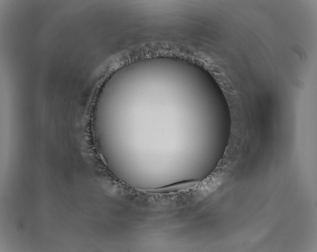 X0000112490192200908171255