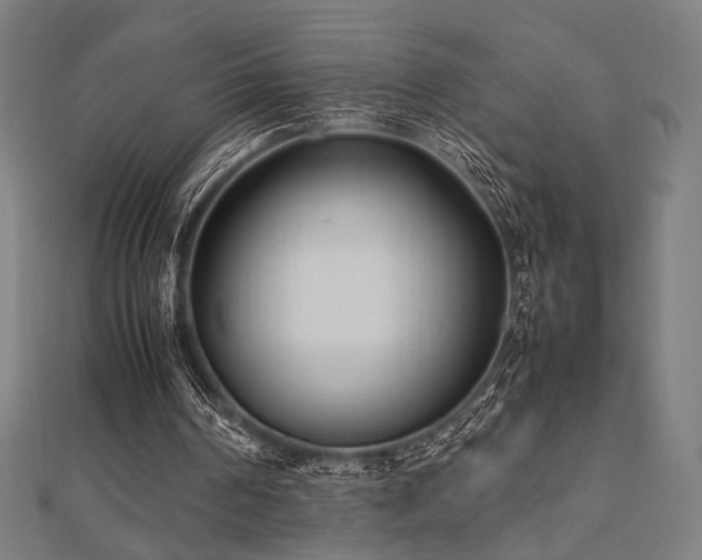 X0000112490194200908171254