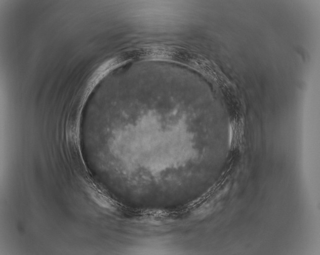 X0000112490195200908171254