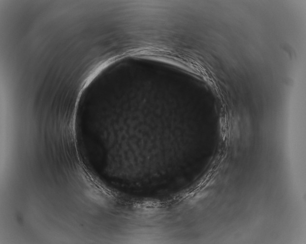 X0000112490196200908171254