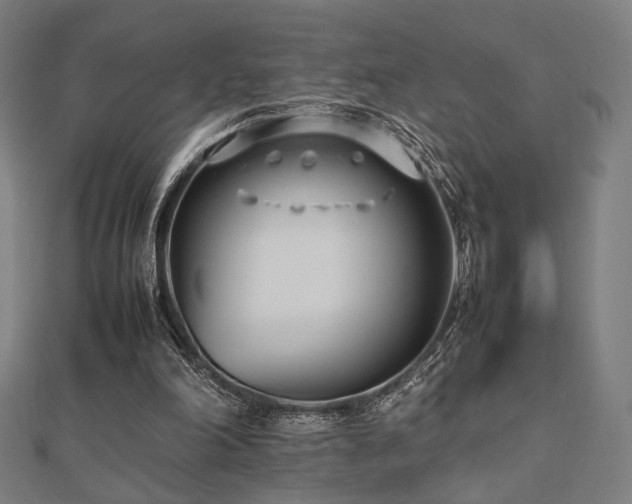 X0000112490198200908171254