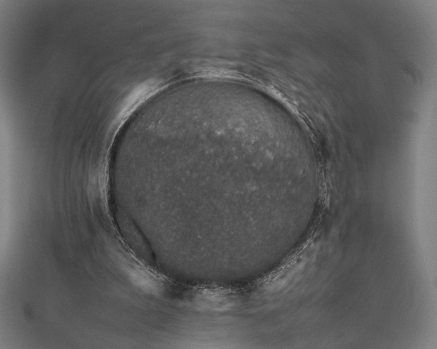X0000112490199200908171254