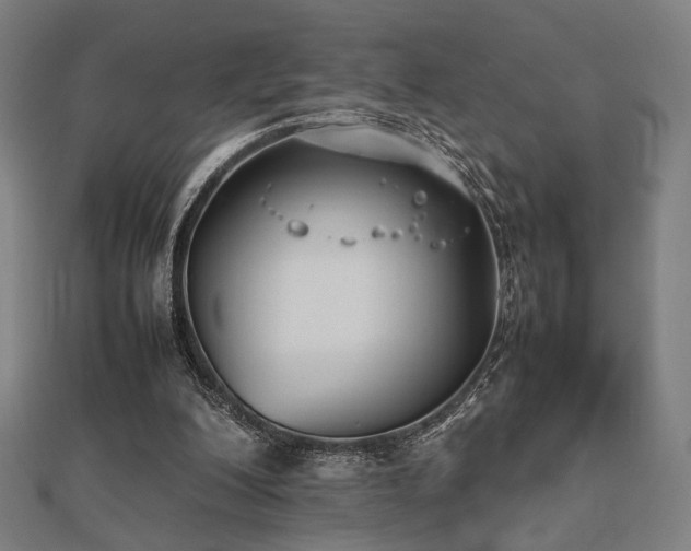 X0000112490200200908171254