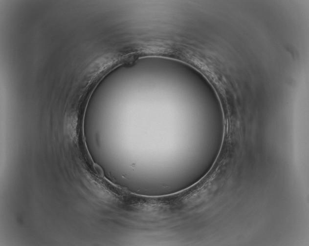 X0000112490201200908171254