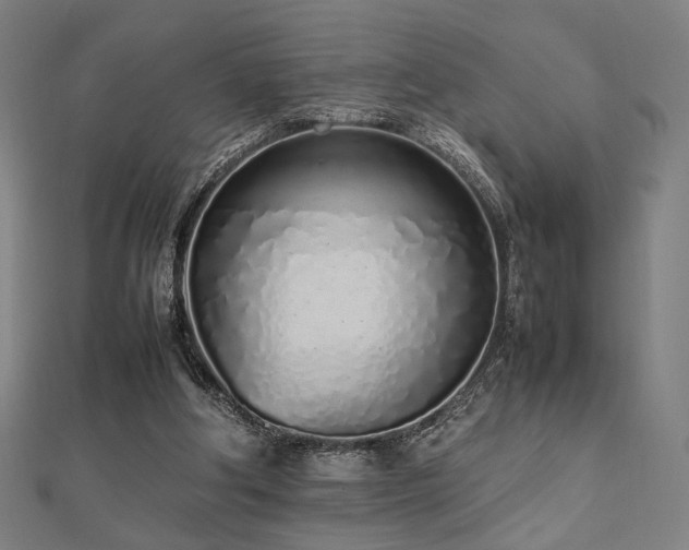X0000112490202200908171254