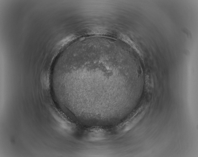 X0000112490203200908171254