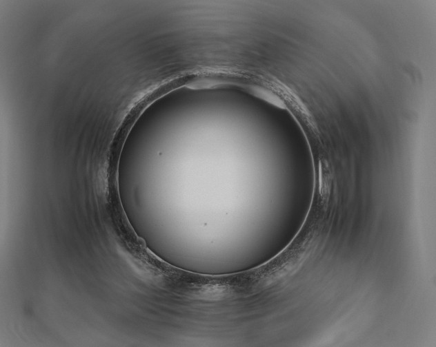 X0000112490204200908171254