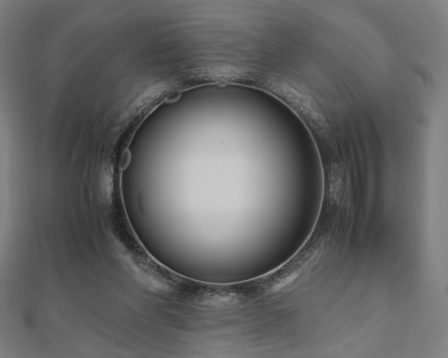 X0000112490206200908171254