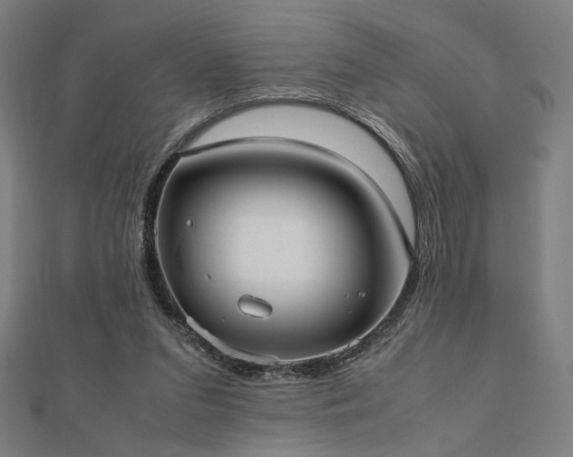 X0000112490207200908171254