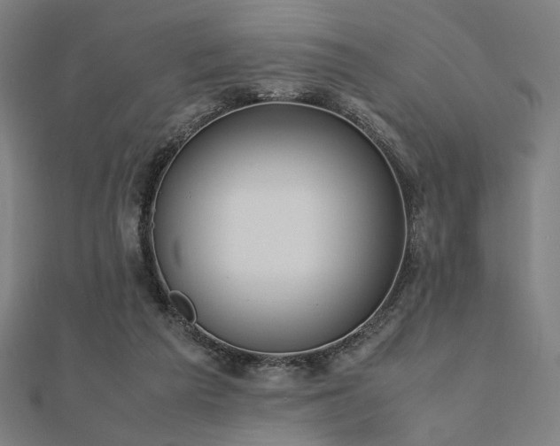 X0000112490209200908171254