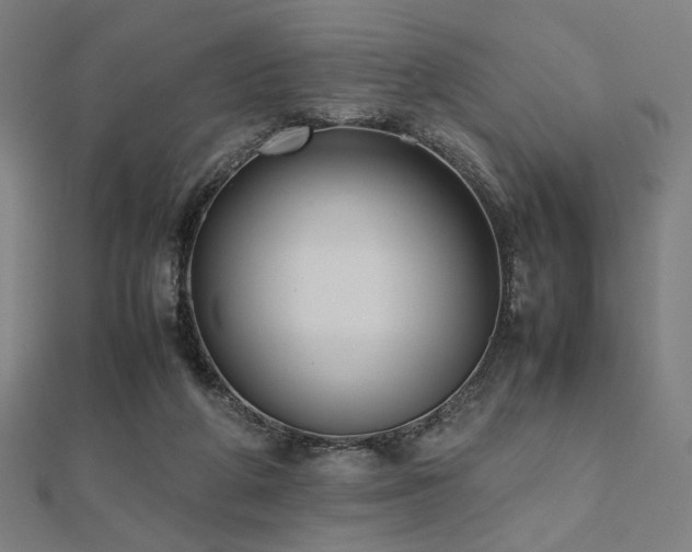 X0000112490210200908171254