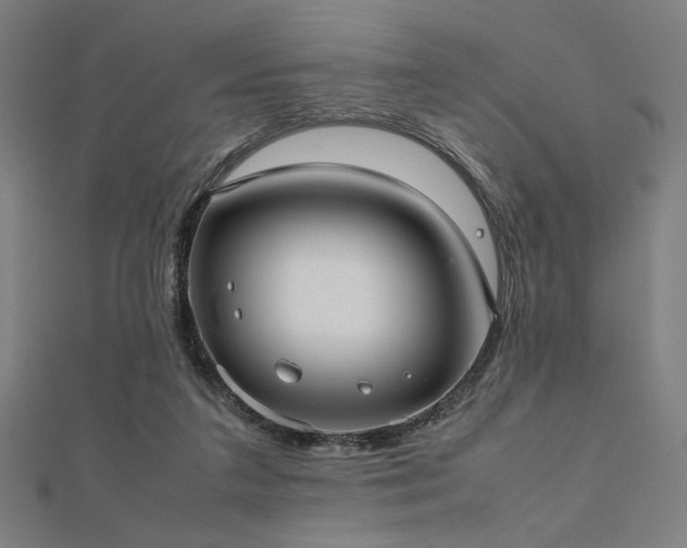X0000112490211200908171254