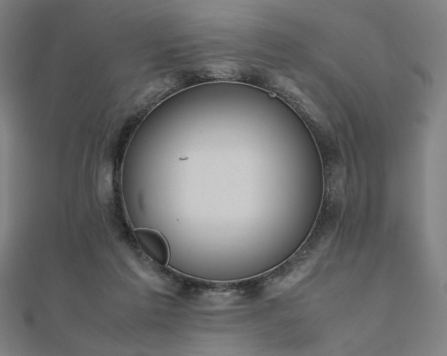 X0000112490213200908171254