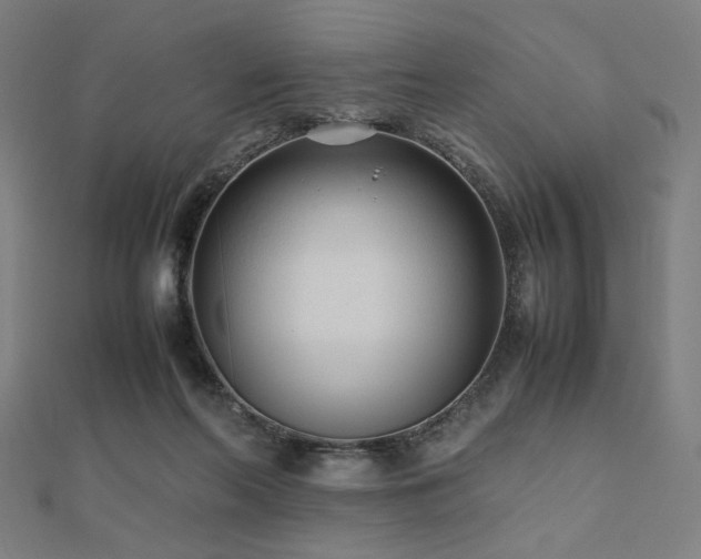 X0000112490214200908171254