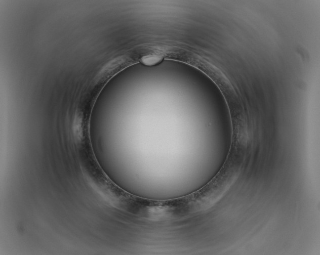 X0000112490216200908171254
