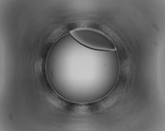 X0000112490217200908171254