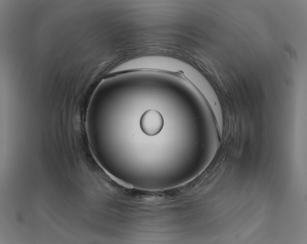 X0000112490220200908171254