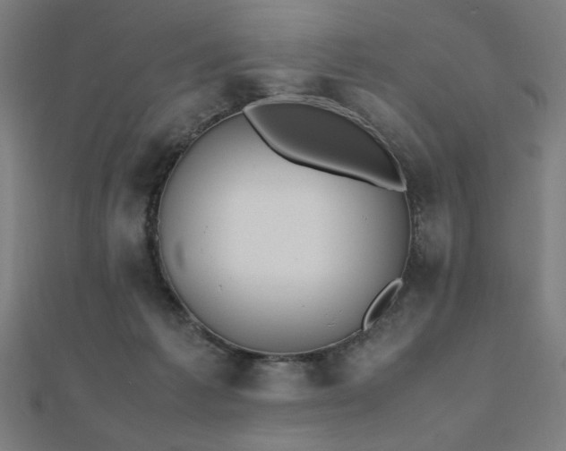 X0000112490221200908171254