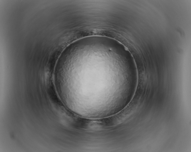 X0000112490222200908171254