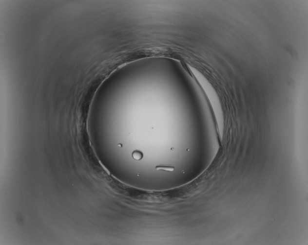 X0000112490223200908171254