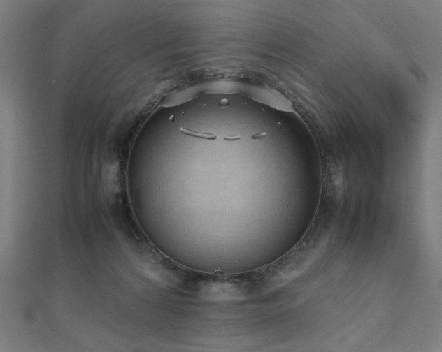 X0000112490224200908171254