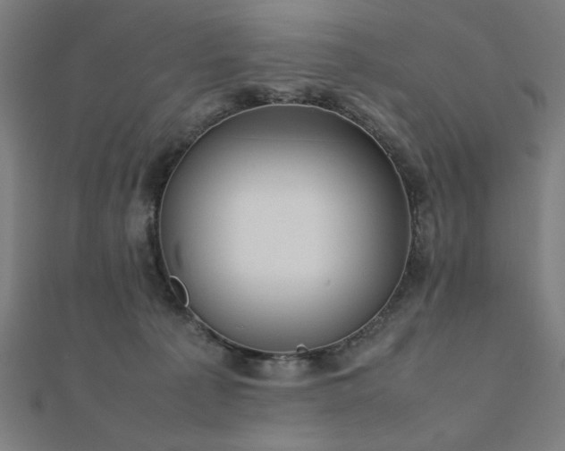 X0000112490225200908171254