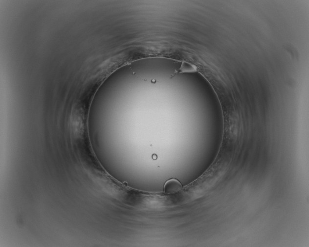 X0000112490226200908171254