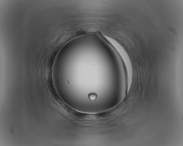 X0000112490227200908171254