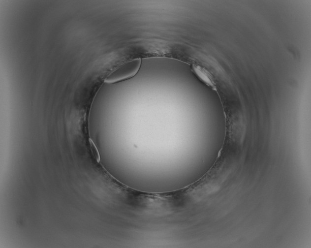 X0000112490229200908171254