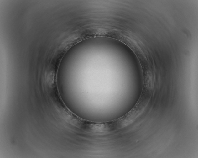 X0000112490230200908171254