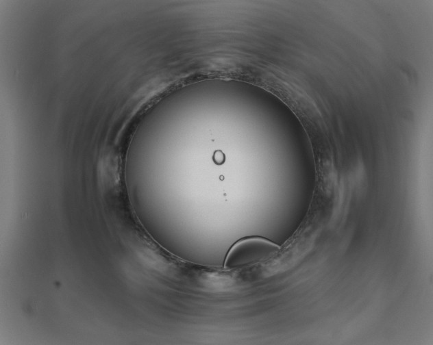 X0000112490232200908171254